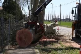 Miracolato: ce la farà il 38enne travolto da un albero