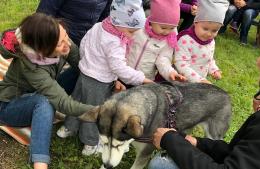 A scuola dai cuccioli