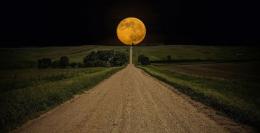 "Il Grande Passo" made in Polesine
