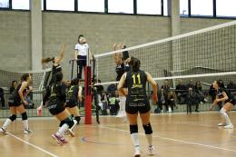 Fruvit corsara a Reggio Emilia