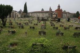 Cimitero tra erbacce e incuria