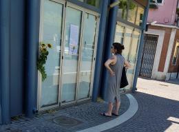 I primi tre girasoli per salvare il chiosco