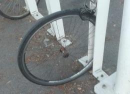 Bici rubate a raffica. Anche nella "gabbia"