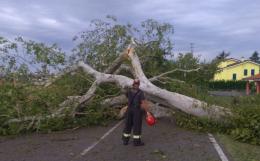 Il vento abbatte un albero in pista ciclabile