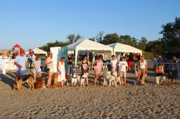 "Aperitivo da cani" solidale