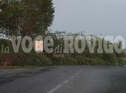 Nel Delta raffiche di vento fino ai 138 km orari