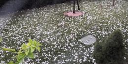 Una grandinata pazzesca alle porte del Polesine