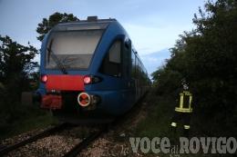 Cadono alberi: linea ferroviaria bloccata