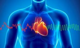 Infarto e ictus, è stata trovata la soluzione