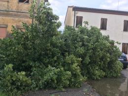 Maltempo, arrivano i rimborsi