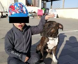 Kira è di nuovo con la sua famiglia