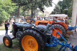 Torna la fiera agricola... ed è già primavera