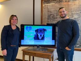 Il Comune trova casa ai cuccioli senza famiglia