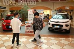 Due auto fanno gola in Fattoria