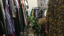 Cervo spaventato entra nel negozio di moda e si camuffa fra i vestiti