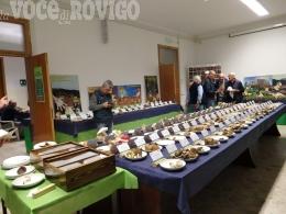 Festa del fungo al gran finale