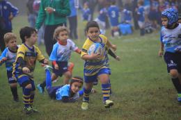 Medaglia d'oro per l'Under 6
