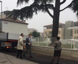 Addio al grande cedro: verrà abbattuto la prossima settimana