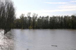 Tutti in attesa della grande piena