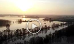 L'alba sul Po, un video splendido e al tempo stesso impressionante