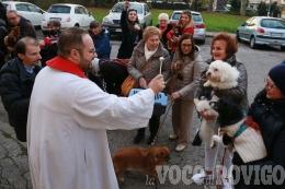 La festa dei nostri cuccioli: la benedizione degli animali per il patrono
