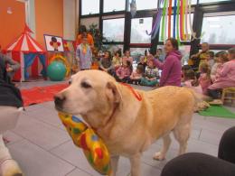 Tanti auguri a Penny: un angelo a quattro zampe per gli anziani