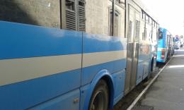 Preso l'aggressore dell'autista del bus: è un 20enne tunisino