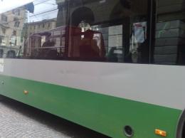 Aggressione all'autista del bus: "Mi ha preso a pugni"