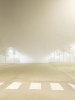 Un muro di nebbia, prestate attenzione!