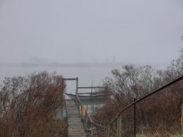 Sul Polesine è calato un vero muro di nebbia