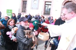 La benedizione per i nostri amici animali