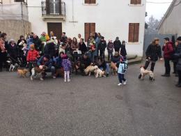 Una benedizione per gli amici più fedeli