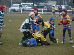 I Galletti tornano in campo