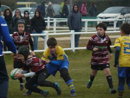 I piccoli gialloblù sono pronti a tornare in campo