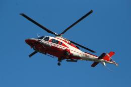 A 15 anni inghiottito dal fiume