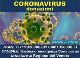 Arriva la raccolta fondi per sostenere la sanità veneta 