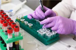 "Il maxi piano dei tamponi blocca i laboratori analisi"