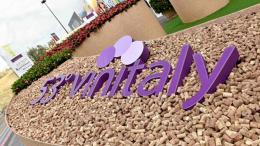 Il salone internazionale dei vini e dei distillati rimandato al prossimo anno