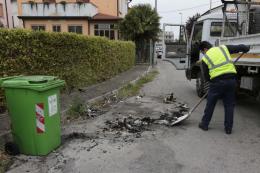 Torna il piromane di San Pio X