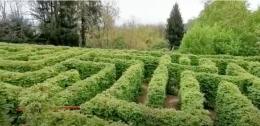 "Giardini Botanici del Veneto, un tesoro di biodiversità"