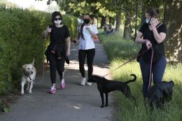 I rodigini invadono le ciclabili, ma tutti con la mascherina