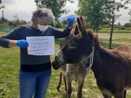 La buona notizia: riaprono gli agriturismi!
