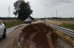 Strada bloccata, causa letame sulla carreggiata