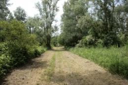 L'oasi di Panarella si prepara per riaprire