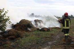 Rotoballe in fiamme a Rovigo, i vigili spengono l'incendio