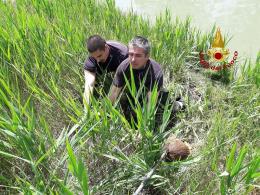 I nostri eroi salvano un capriolo finito nel canale