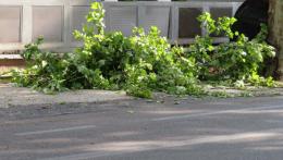 Maltempo, grossissimi danni nel Basso Polesine