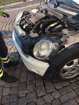 Micio incastrato in un'auto parcheggiata in Riviera Matteotti