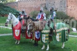 Dal castello le fondamenta di Rovigo