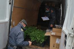 Trasportava prodotti alimentari senza provenienza e non refrigerati